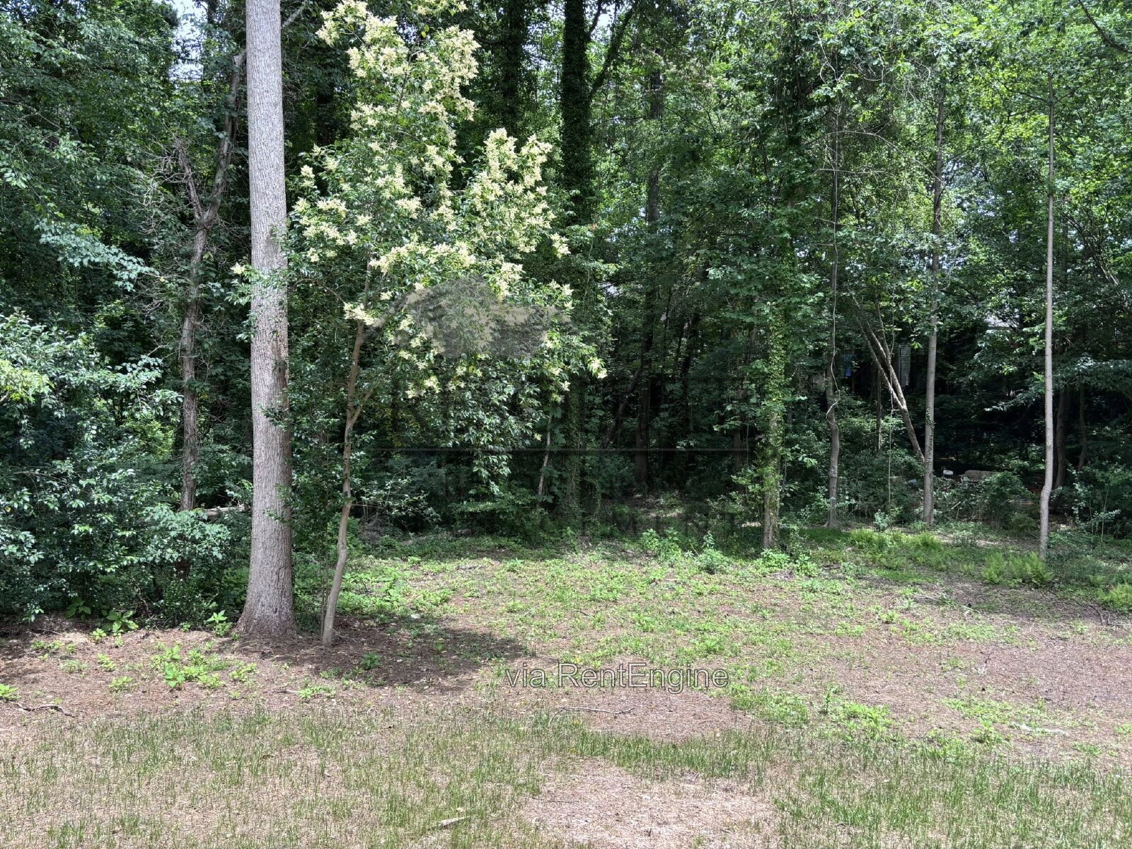 522 Brent Road, Raleigh, NC - Near NCSU (Wolfpack bus line) property image