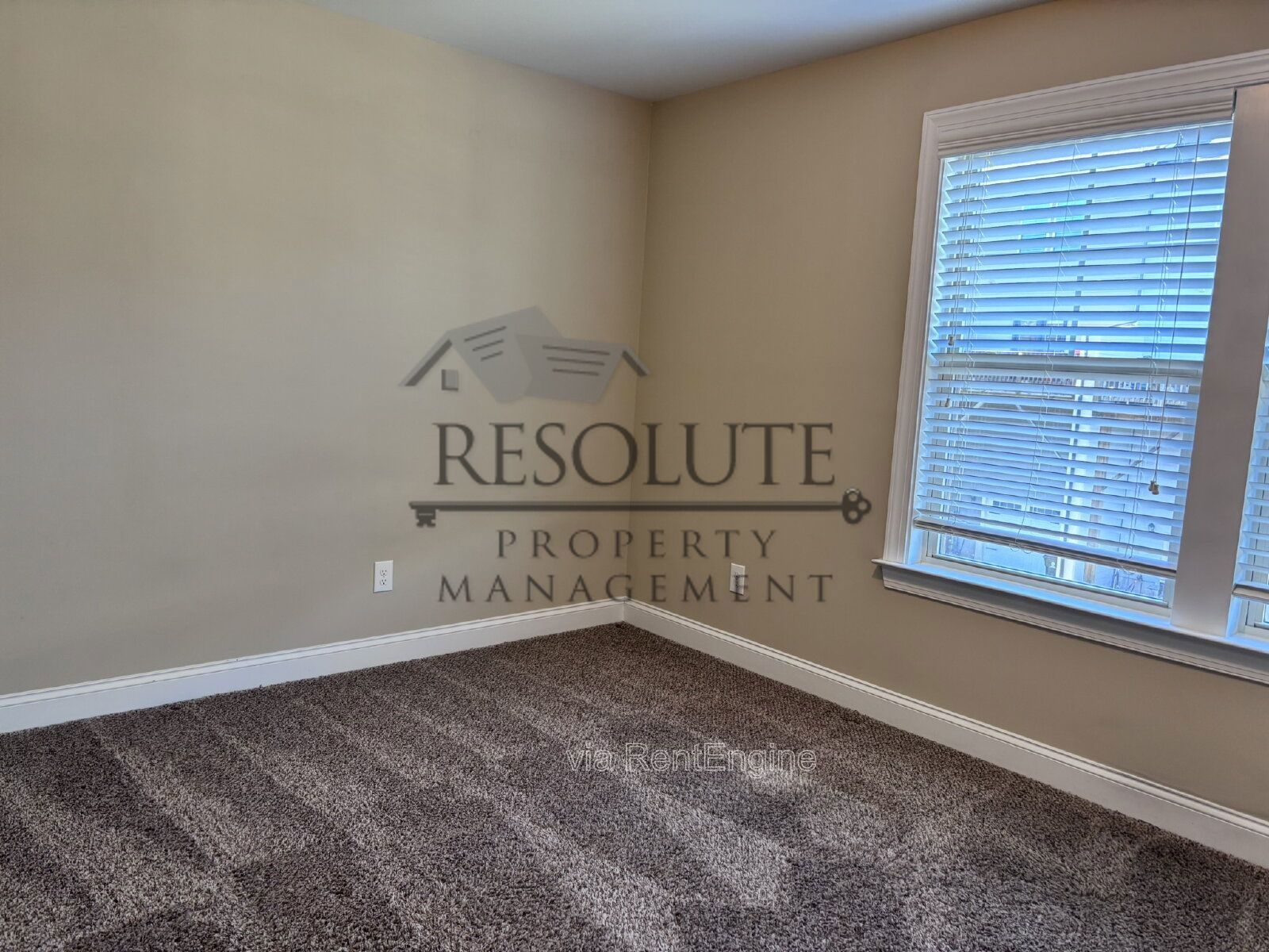 568 Village Loop Dr Apex NC 27502 property image