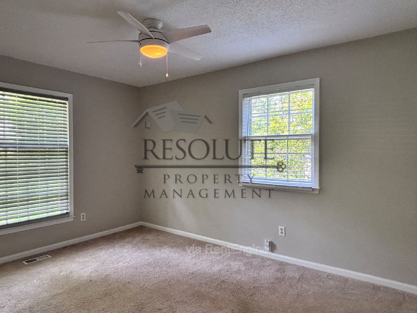 5920 Crepe Myrtle Ct., Raleigh, NC property image