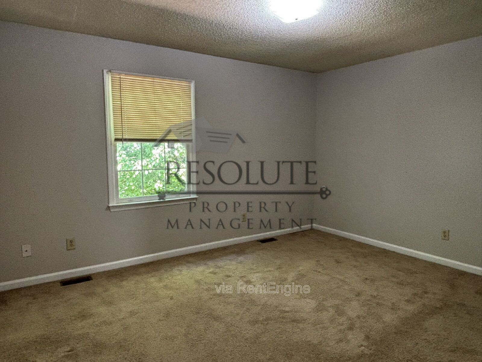 817 Dalewood Drive Raleigh NC 27610 property image