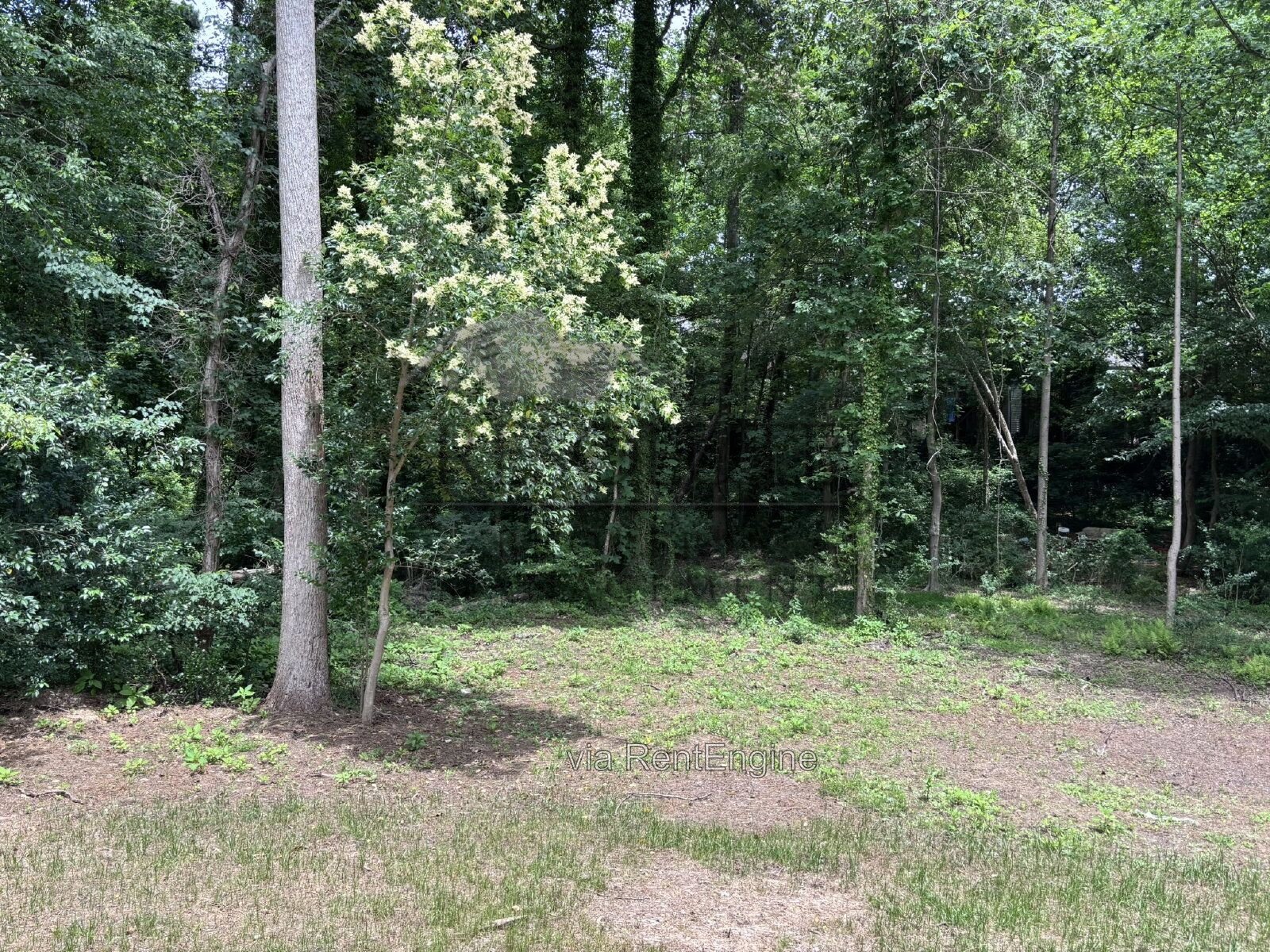 520 Brent Rd, Raleigh, NC property image